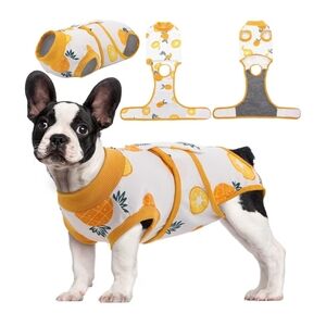 Dog Pineapple Recovery Suit MED